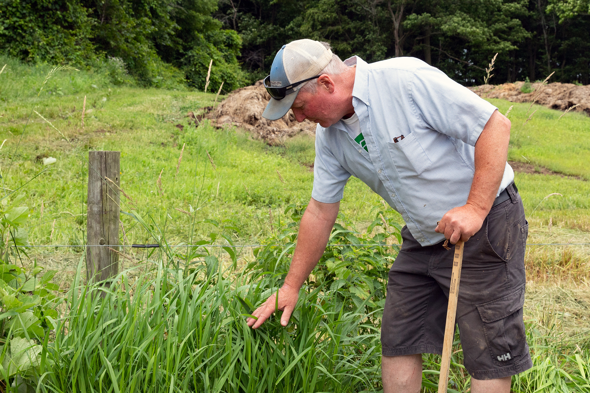 Man in baseball cap looks down toward tall grasses in a green field.