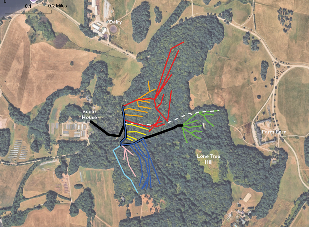 aerial photo overlayed with lines showing all the major sap collection tubing in the shelburne Farms Sugarbush
