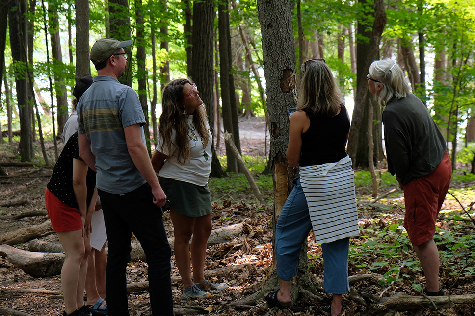 Six adults gather around a tree in the summer forest
