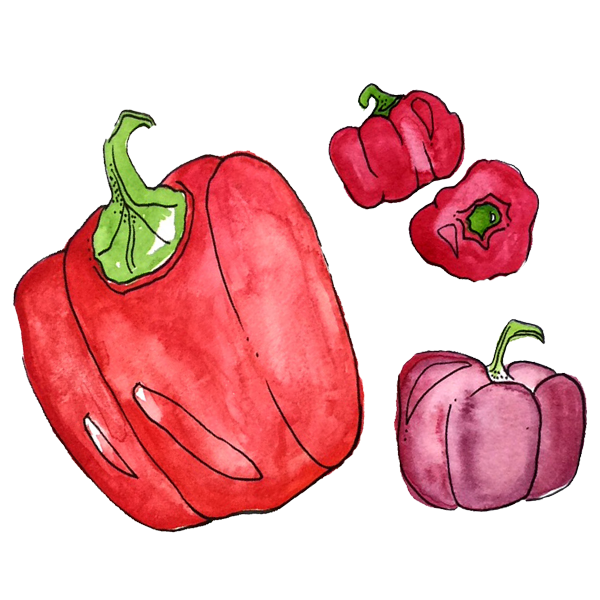 colorful illustration of four peppers