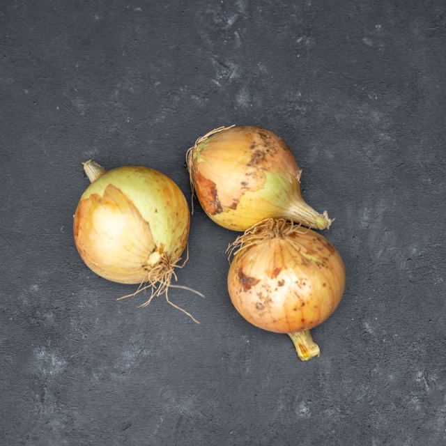 three white storage onions