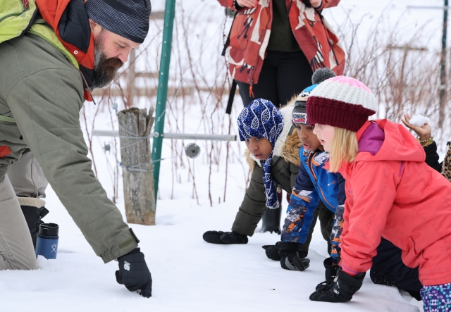 Three children and an adult examining something on the ground in the snow.