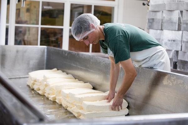 A worker in a hairnet stacks one slab of packed cheddar curds on top of two other slabs next to a line of other stacked slabs within a silvery vat.